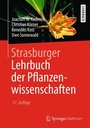 Cover: Strasburger - Lehrbuch der Pflanzenwissenschaften - Springer Spektrum
