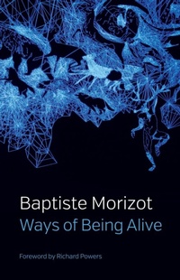 Enlarge image Cover: Ways of Being Alive - Polity Press