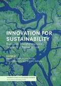 Cover: Innovation for Sustainability - Palgrave Macmillan