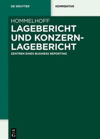 Bild vergrößern Bild: Lagebericht und Konzernlagebericht - De Gruyter