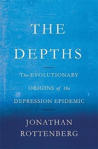 Enlarge image Cover: The Depths - Basic Books