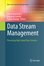 Cover: Data Stream Management - Springer