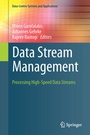 Cover: Data Stream Management - Springer