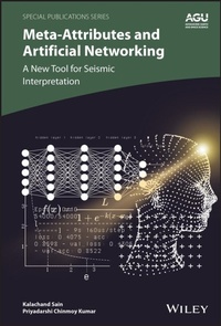 Enlarge image Cover: Meta-attributes and Artificial Networking - Wiley