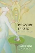 Cover: Pleasure Erased - Polity Press
