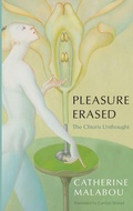 Cover: Pleasure Erased - Polity Press