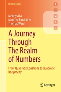 Enlarge image Cover: A Journey Through The Realm of Numbers - Springer