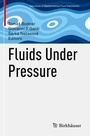 Cover: Fluids Under Pressure - Birkh&auml;user