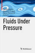 Cover: Fluids Under Pressure - Birkh&auml;user