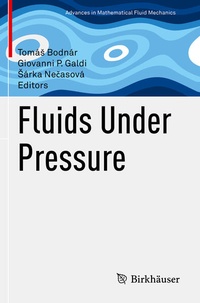 Enlarge image Cover: Fluids Under Pressure - Birkhäuser