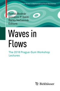 Enlarge image Cover: Waves in Flows - Birkhäuser