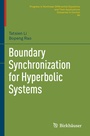 Cover: Boundary Synchronization for Hyperbolic Systems - Birkh&auml;user