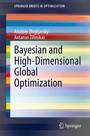 Cover: Bayesian and High-Dimensional Global Optimization - Springer