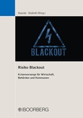 Cover: Risiko Blackout - Boorberg