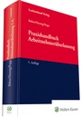 Cover: Praxishandbuch Arbeitnehmerüberlassung - Luchterhand