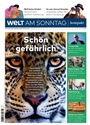 Bild: Welt am Sonntag kompakt - Axel Springer Verlag