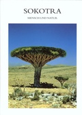 Cover: Sokotra - Reichert Verlag