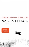 Cover: Nachmittage - Luchterhand Literaturverlag