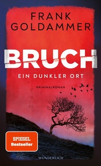 Abbildung von: Bruch - Ein dunkler Ort - Rowohlt