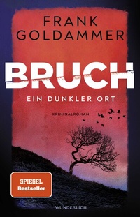Abbildung von: Bruch - Ein dunkler Ort - Wunderlich