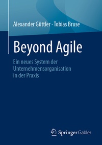 Abbildung von: Beyond Agile - Springer Gabler