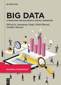 Cover: Big Data - De Gruyter