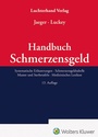 Cover: Handbuch Schmerzensgeld - Luchterhand