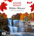 Cover: Wildes Wasser - Der Audio Verlag