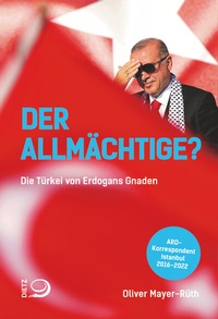 Abbildung von: Gestohlene Macht? - Dietz