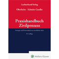 Bild: Praxishandbuch Zivilprozess - Luchterhand