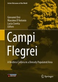 Cover: Campi Flegrei - Springer