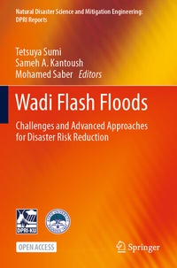Enlarge image Cover: Wadi Flash Floods - Springer