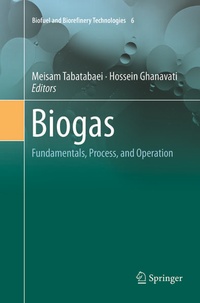 Enlarge image Cover: Biogas - Springer