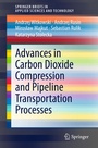 Cover: Advances in Carbon Dioxide Compression and Pipeline Transportation Processes - Springer