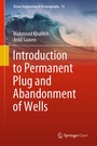 Cover: Introduction to Permanent Plug and Abandonment of Wells - Springer