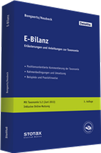 Bild vergrößern Bild: E-Bilanz - Stollfuß