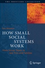 Cover: How Small Social Systems Work - Springer