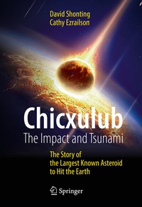 Abbildung von: Chicxulub: The Impact and Tsunami - Springer