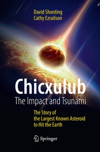 Abbildung von: Chicxulub: The Impact and Tsunami - Springer