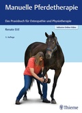 Bild: Manuelle Pferdetherapie - Thieme