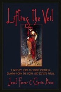Enlarge image Cover: Lifting the Veil - Marion Street Press Inc.