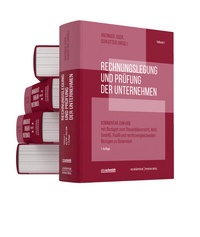 Abbildung von: Rechnungslegung und Prüfung der Unternehmen (Gesamtausgabe) - Schäffer-Poeschel
