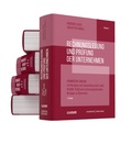 Cover: Rechnungslegung und Pr&uuml;fung der Unternehmen (Gesamtausgabe) - Sch&auml;ffer-Poeschel
