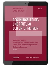 Abbildung von: Rechnungslegung und Prüfung der Unternehmen (Online-Datenbank) - Schäffer-Poeschel