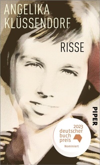 Bild: Risse - Piper