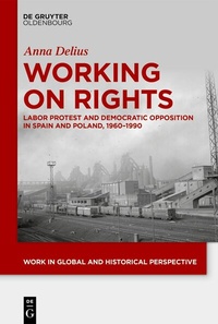 Enlarge image Cover: Working on Rights - De Gruyter