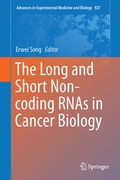 Cover: The Long and Short Non-coding RNAs in Cancer Biology - Springer
