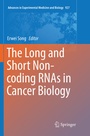Cover: The Long and Short Non-coding RNAs in Cancer Biology - Springer