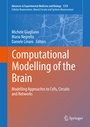 Cover: Computational Modelling of the Brain - Springer