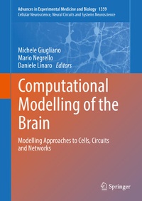 Enlarge image Cover: Computational Modelling of the Brain - Springer